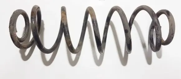 Seat Leon (1M) Rear coil spring st134014r