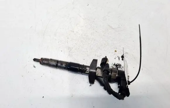 Renault Espace - Grand espace IV Fuel injector 0445110084 8200084534