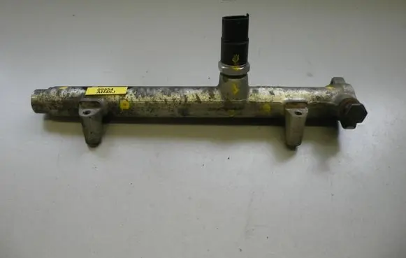 Hyundai Getz Fuel main line pipe 0281002405 0445213007