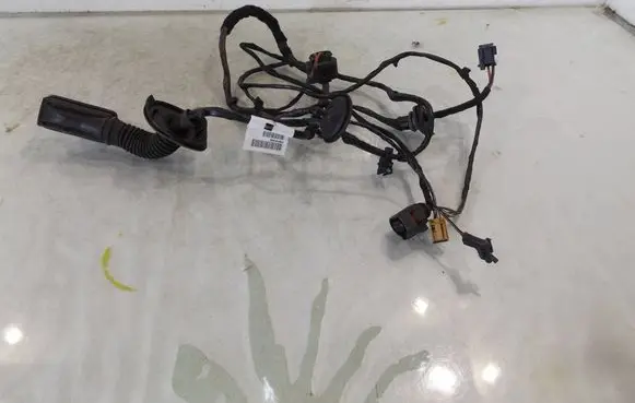 Other wiring loom