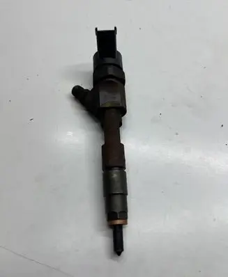 Renault Scenic II - Grand scenic II Fuel injector 0445110021