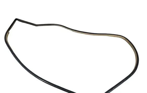 Lexus RX 300 Front door rubber seal 