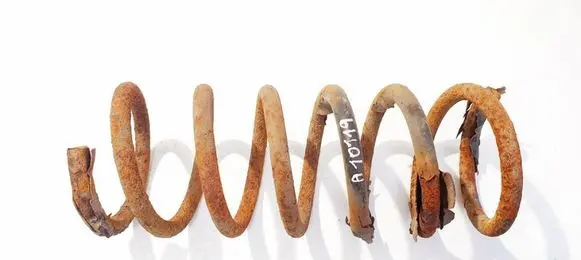 Rear coil spring