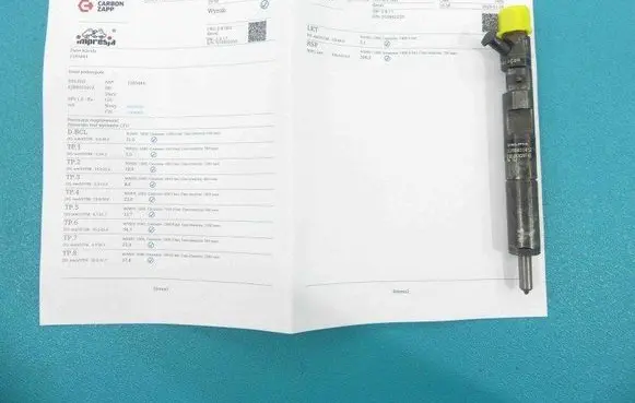 Renault Kangoo I Fuel injector EJBR02101Z IMPRK1285444