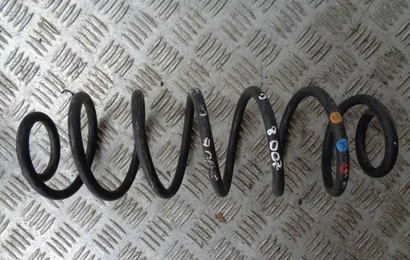 Rear coil spring