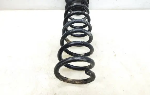 Ford Kuga II Rear coil spring 
