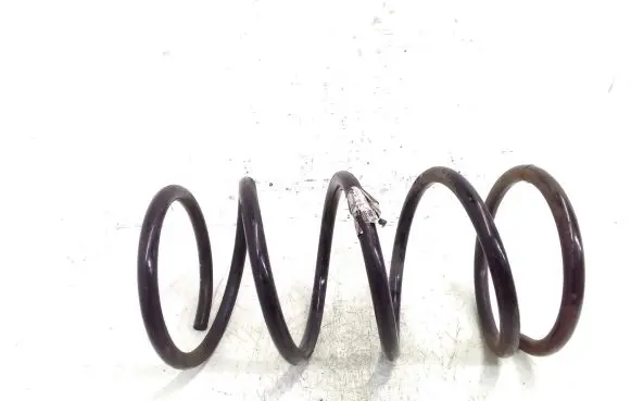 Front coil spring