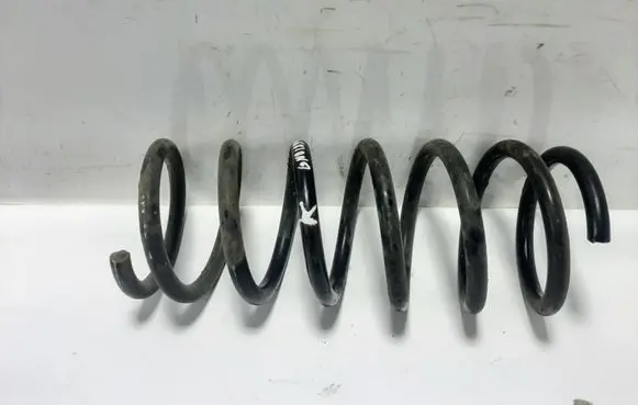 Rear coil spring