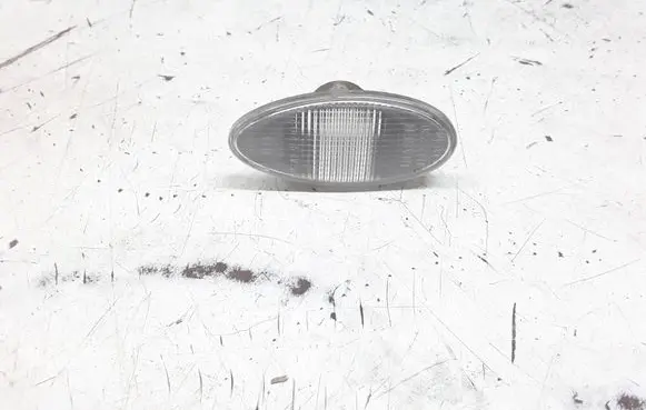Front fender indicator light