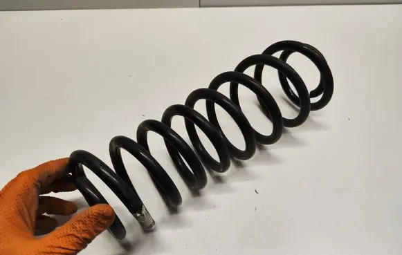 Ford Mustang V Rear coil spring BR335560CB