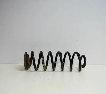 Volkswagen PASSAT B6 Rear coil spring
