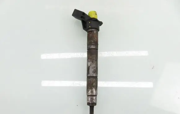 Mercedes-Benz Sprinter W906 Fuel injector 6460701487 0445115069