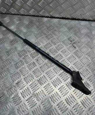 Tailgate/trunk strut/damper