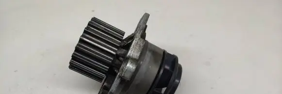 Volkswagen Golf Plus Water pump 045121019D
