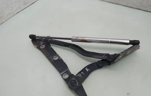 Tailgate/trunk/boot hinge