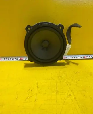 Front door speaker