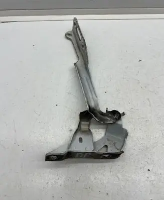 Honda Civic X Engine bonnet/hood hinges TBAR
