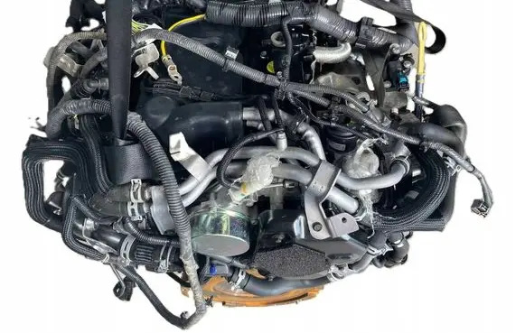 Nissan Navara D23 Engine swap YS23F282