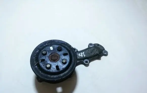 Nissan Almera N16 Water pump