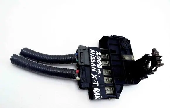 Positive wiring loom