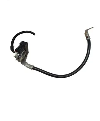 Mercedes-Benz GL X166 Negative earth cable (battery) A1669055901 16274
