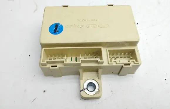 KIA Sportage Other control units/modules 919401F010