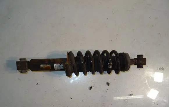 Peugeot 508 Rear shock absorber with coil spring 9593