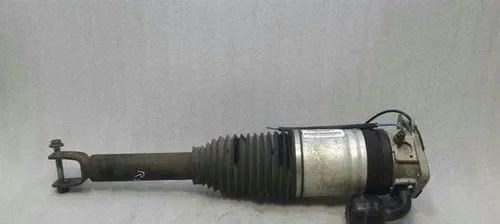 Bentley Continental Rear shock absorber with coil spring 3W0616002B