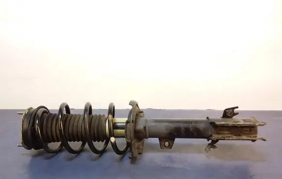 Ford Ecosport Front shock absorber with coil spring GN15-18045-P3B