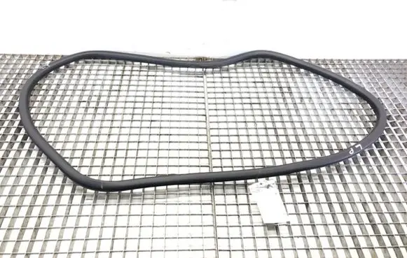 Citroen C4 III e-C4 Rubber seal front door (on door) 