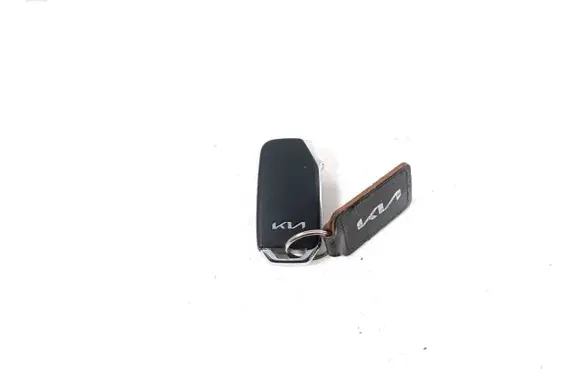 KIA Niro Ignition key/card 