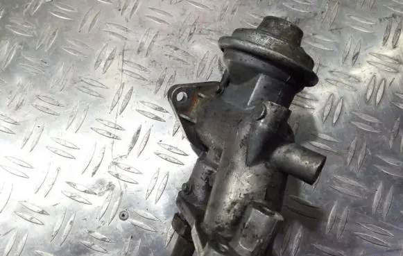 EGR valve