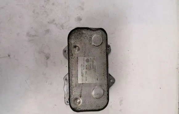 Volkswagen Phaeton Oil filter mounting bracket 077117021Q 1638493 81358196