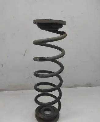 Skoda Octavia Mk2 (1Z) Rear coil spring