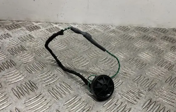 BMW 6 F06 Gran coupe Front door speaker 9248716 65139248716