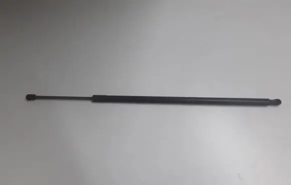 Tailgate strut