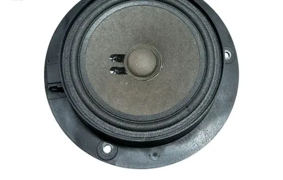 Mercedes-Benz B W245 Rear door speaker A1698202102 981088102
