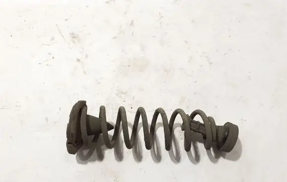 Renault Scenic IV - Grand scenic IV Rear coil spring 550200678R