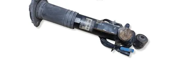 BMW X6 E71 Rear shock absorber/damper 6785408
