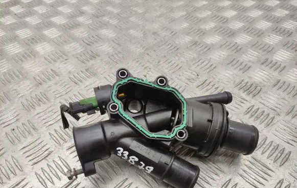 Thermostat/thermostat housing
