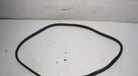 KIA EV6 Rubber seal rear door 