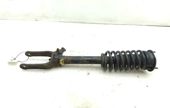 Mercedes-Benz R W251 Front shock absorber with coil spring