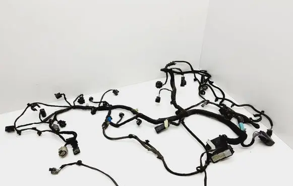 Ford Fusion II Other wiring loom