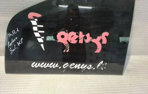 Citroen Berlingo Rear side window