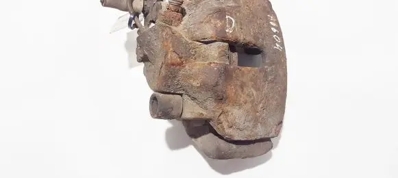 Volkswagen PASSAT B5 Front brake caliper