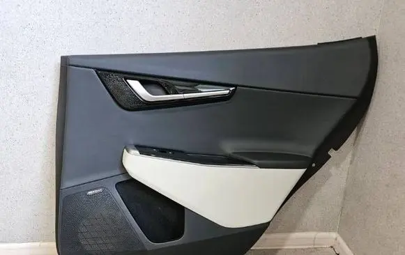 KIA EV6 Rear door card panel trim 