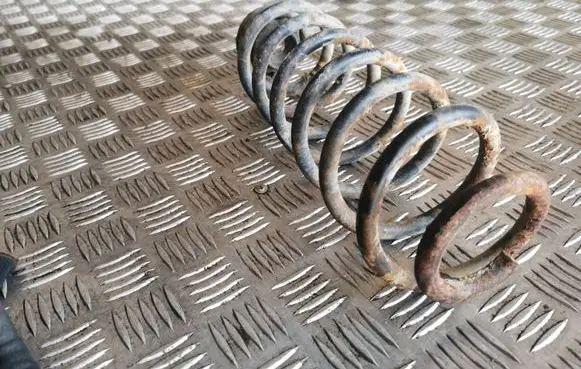 Skoda Octavia Mk1 (1U) Rear coil spring