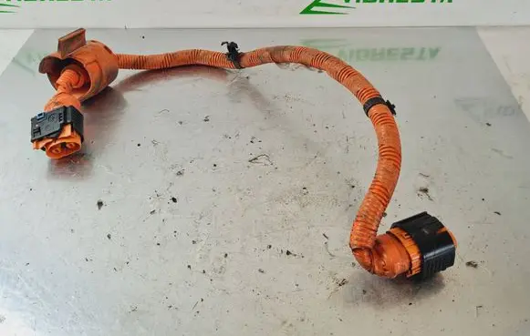 Other wiring loom