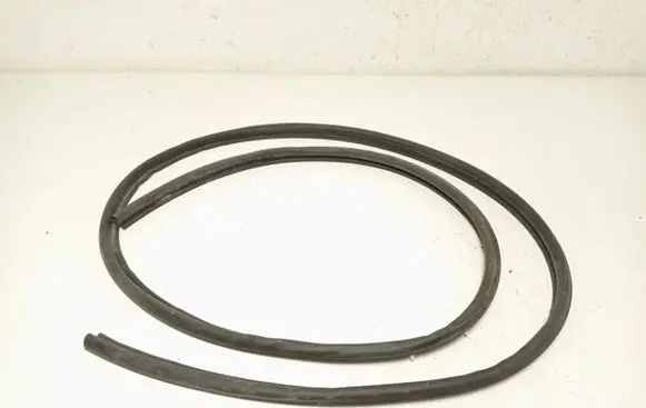 Opel Crossland X Rubber seal rear door 39217335