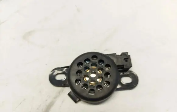 Front door speaker